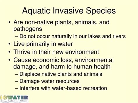 PPT - Aquatic Invasive Species PowerPoint Presentation, free download - ID:3866276