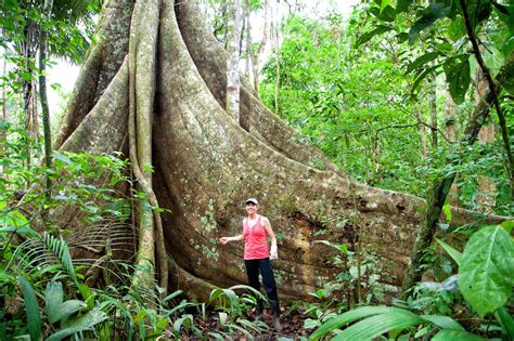 Trekking in the Amazon Rainforest | Earth Trekkers