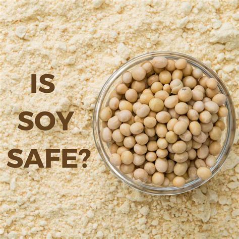 Is Soy Safe in Menopause? – MenoWell