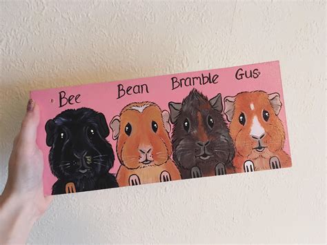 My lovely personalised guinea pig sign! : guineapigs