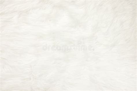 34,755 White Fur Texture Stock Photos - Free & Royalty-Free Stock ...