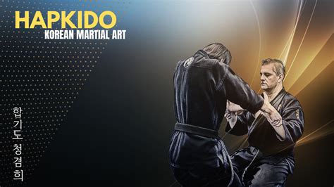 Hapkido Korean Martial Arts Wallpaper - Resolution:1920x1080 - ID:1240149 - wallha.com