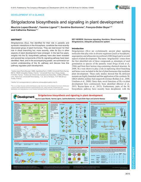 (PDF) Strigolactone biosynthesis and signaling in plant development