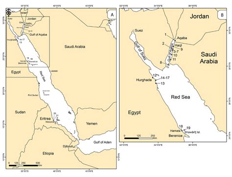 Map of the Red Sea showing localities that provided the fossil... | Download Scientific Diagram