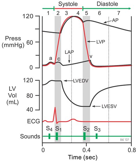 CV Physiology | Cardiac Cycle