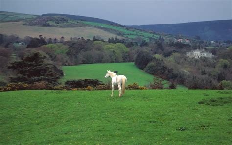 Ireland Countryside Wallpapers - Top Free Ireland Countryside Backgrounds - WallpaperAccess