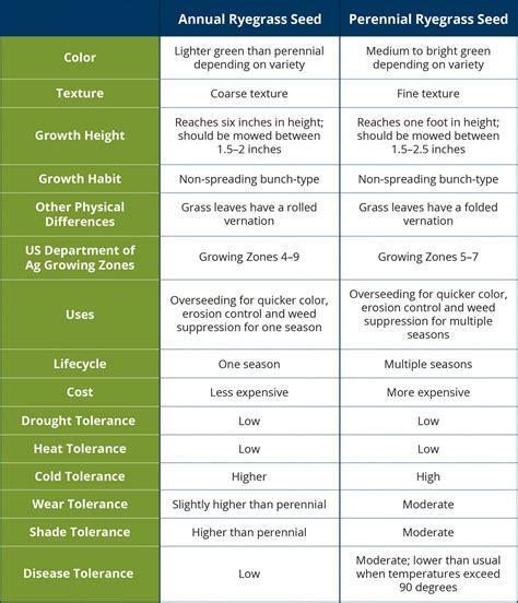 Annual vs. Perennial Ryegrass Seed - Batang Tabon