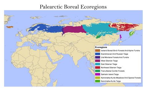 Palearctic Ecoregions | Global Forest Atlas