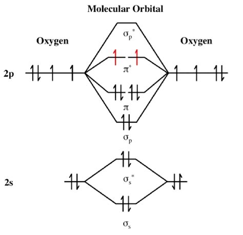 O3 Molecular Orbital Diagram