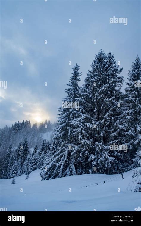 Winter landscape with sun Stock Photo - Alamy