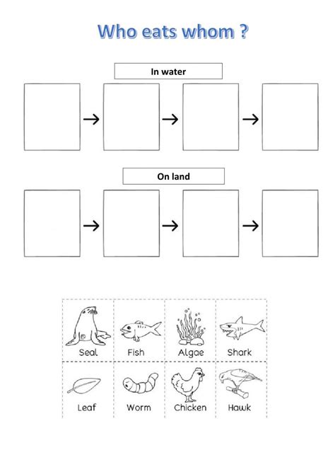 Food Chains online activity | Food chain worksheet, Food web worksheet, Food chain