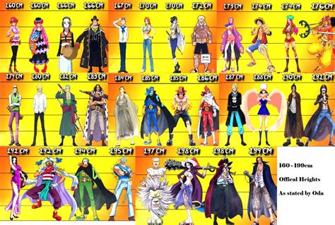 All One Piece characters with average heights 160cm-199cm (official heights by Oda) : OnePiece