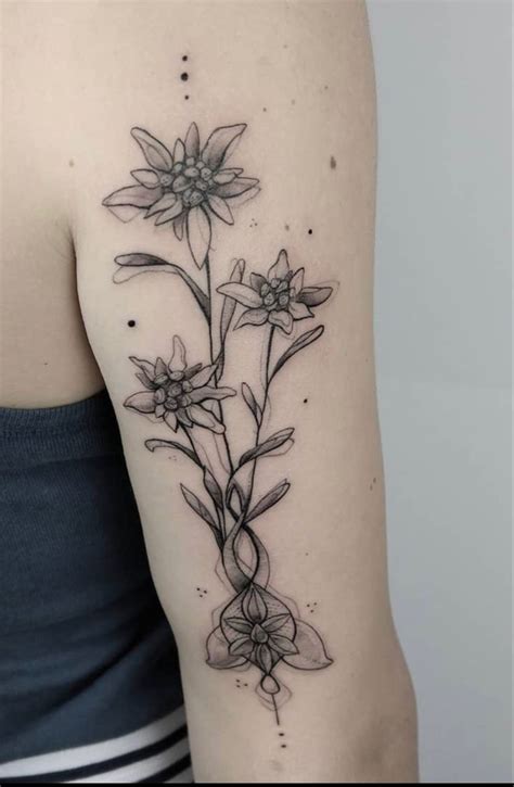 edelweiss tattoo | Edelweiss tattoo, Tribute tattoos, Tattoos