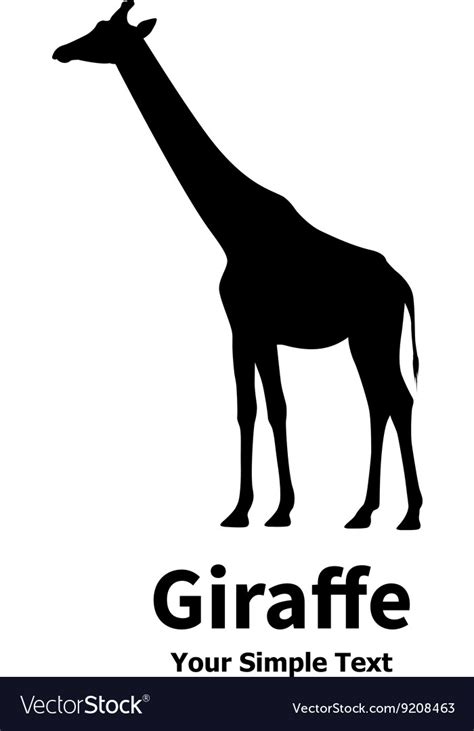 A silhouette of giraffe Royalty Free Vector Image