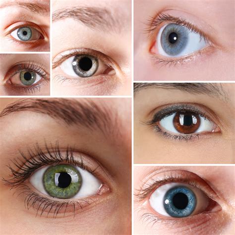 The Iris – Why Are My Eyes The Color They Are? | Alpine Eye Care