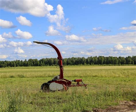 Silage and Forage Harvesting Equipment is Standing on the Edge of the Field, Waiting for Work. a ...