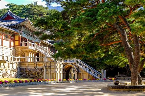 Premium Photo | Bulguksa temple in autumn