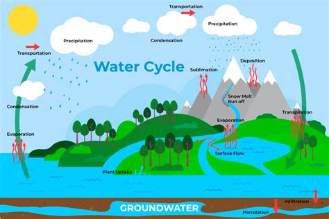 Water Cycle - Process Diagram, and its Various Stages