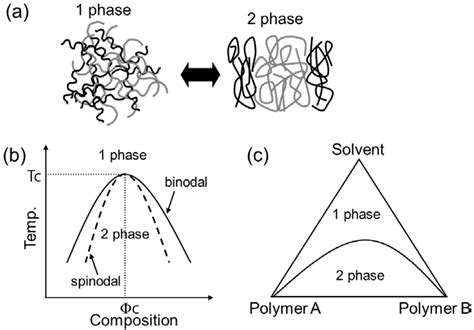 Polymer Phase Diagram