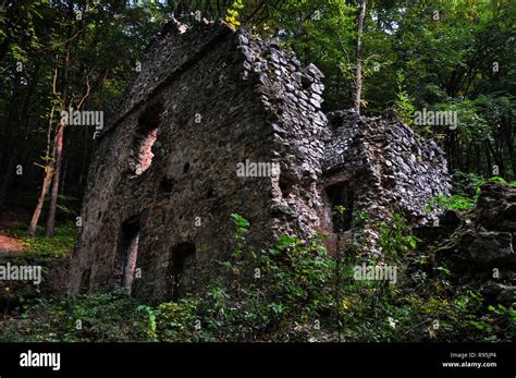 abandoned house forest Stock Photo - Alamy