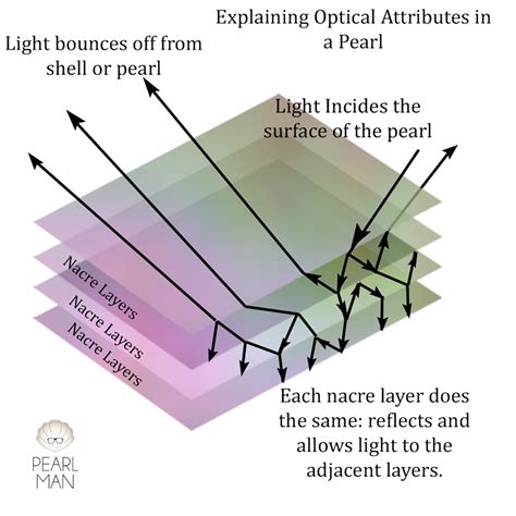 Nacre | Pearl Education - Pearl-Guide.com