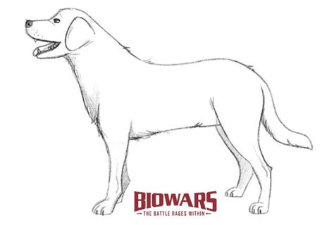 How To Draw A Dog For Beginners [Video Tutorial]