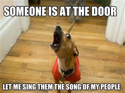 let me sing you the song of my people, funny dogs - Dump A Day