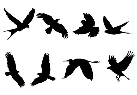 Flying Bird Silhouette Vector - Download Free Vector Art, Stock Graphics & Images