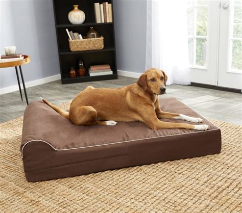 Best Orthopedic Dog Beds | Top Picks for Pup's Sleepy Time