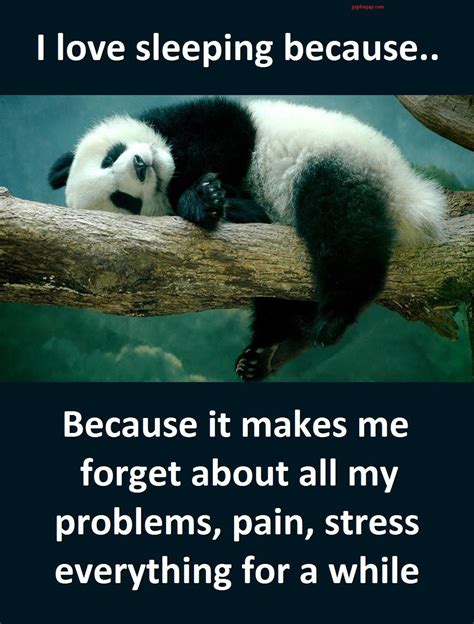 🔥 [20+] Panda Quotes Wallpapers | WallpaperSafari