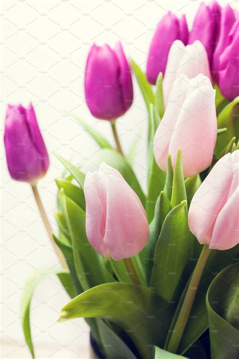 Beautiful pink and purple tulips on | High-Quality Stock Photos ~ Creative Market