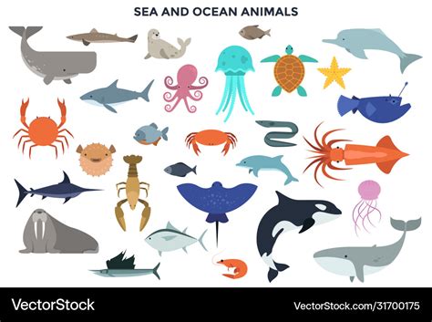 Ocean Animals