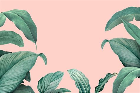 Tropical leaf on pink background | Free stock photo - 400757