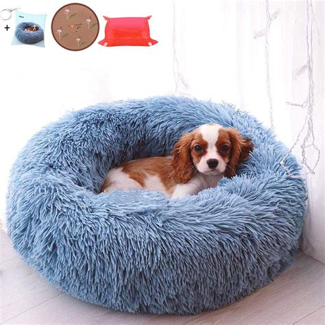 Best Waterproof Dog Beds: 2020 - Luxury Dog Gift