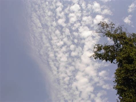 Altocumulus Clouds