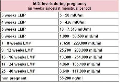 hCG Levels by Week: What You Need to Know | Peanut