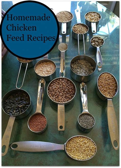 12 Homemade Chicken Feed Recipes- Give Your Chickens An Organic Food That Are Free From Soy And ...