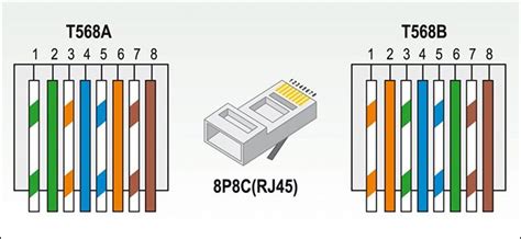 RJ45 Cat5e cable, How to Crimp It?