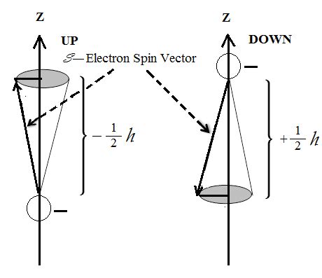 Vectorial representations of an electron's spin magnetic moment, an UP... | Download Scientific ...