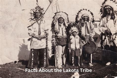 10 Facts About the Lakota Tribe - Have Fun With History