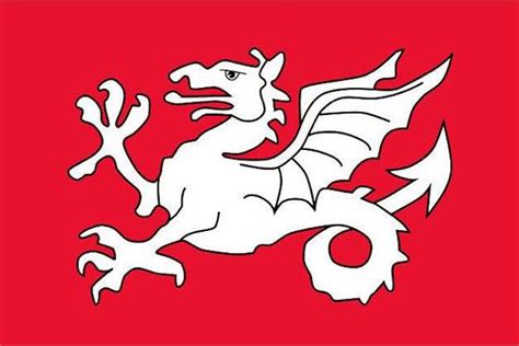 The Anglo-Saxon white dragon or wyvern flag that should be the actual flag of England and not ...