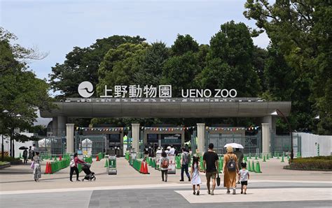 Ueno Zoological Gardens | Tokyo Attractions | Travel Japan | JNTO