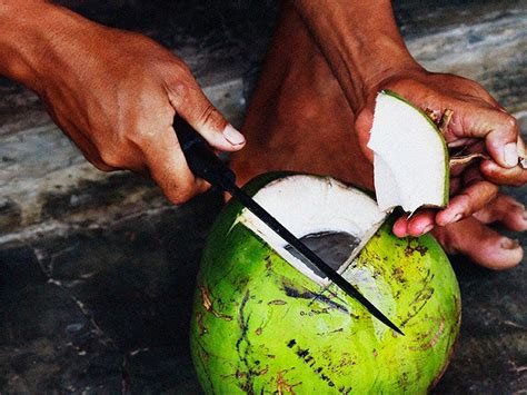 A guide to coconut meat: Nutritional benefits and risks