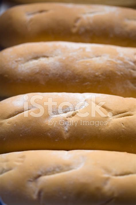 Bread Buns. Stock Photo | Royalty-Free | FreeImages