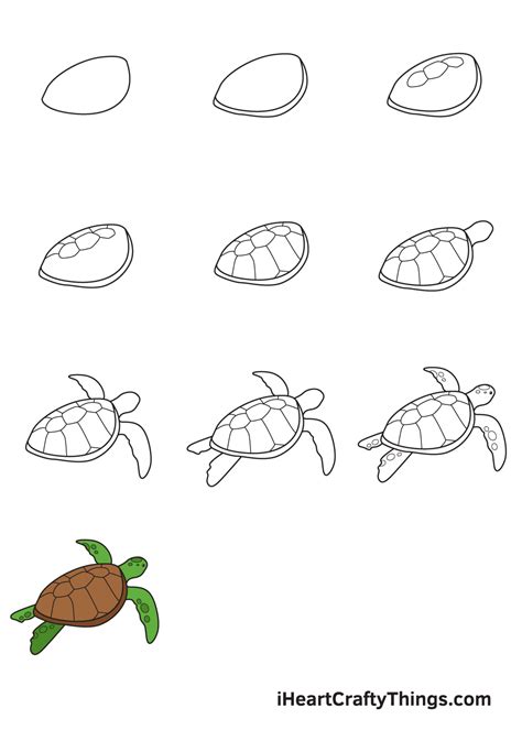 Sea Turtle Drawing — How To Draw A Sea Turtle Step By Step