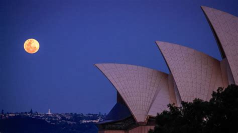 Harvest moon: The last supermoon of the year illuminates skies