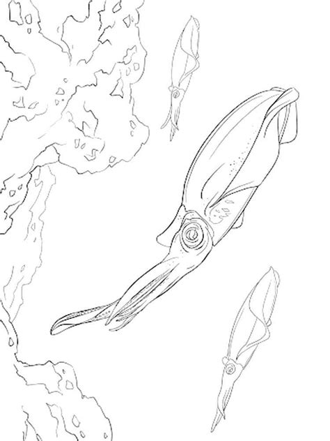 Giant Squid Coloring Pages Octonauts Giant Squid Coloring Pages Print | The Best Porn Website