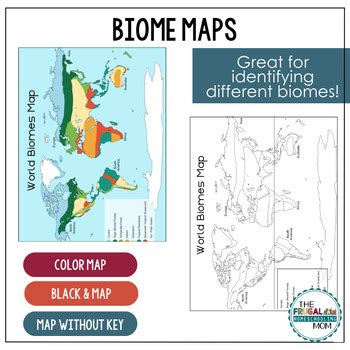 Biomes of the World Maps by The Frugal Homeschooling Mom | TpT