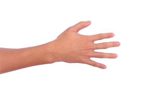 Free Hand on flat surface Stock Photo - FreeImages.com