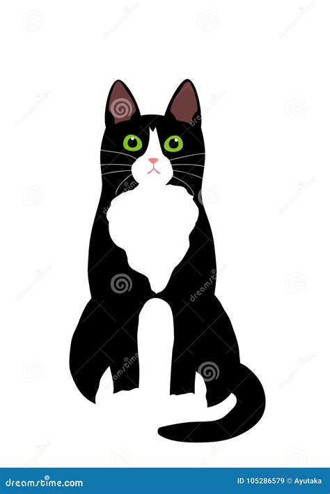 Cute Black and White Cat Sitting Stock Vector - Illustration of isolated, cute: 105286579